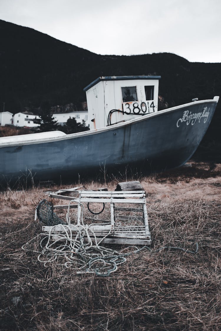 Blue And White Boat A Grassy Field