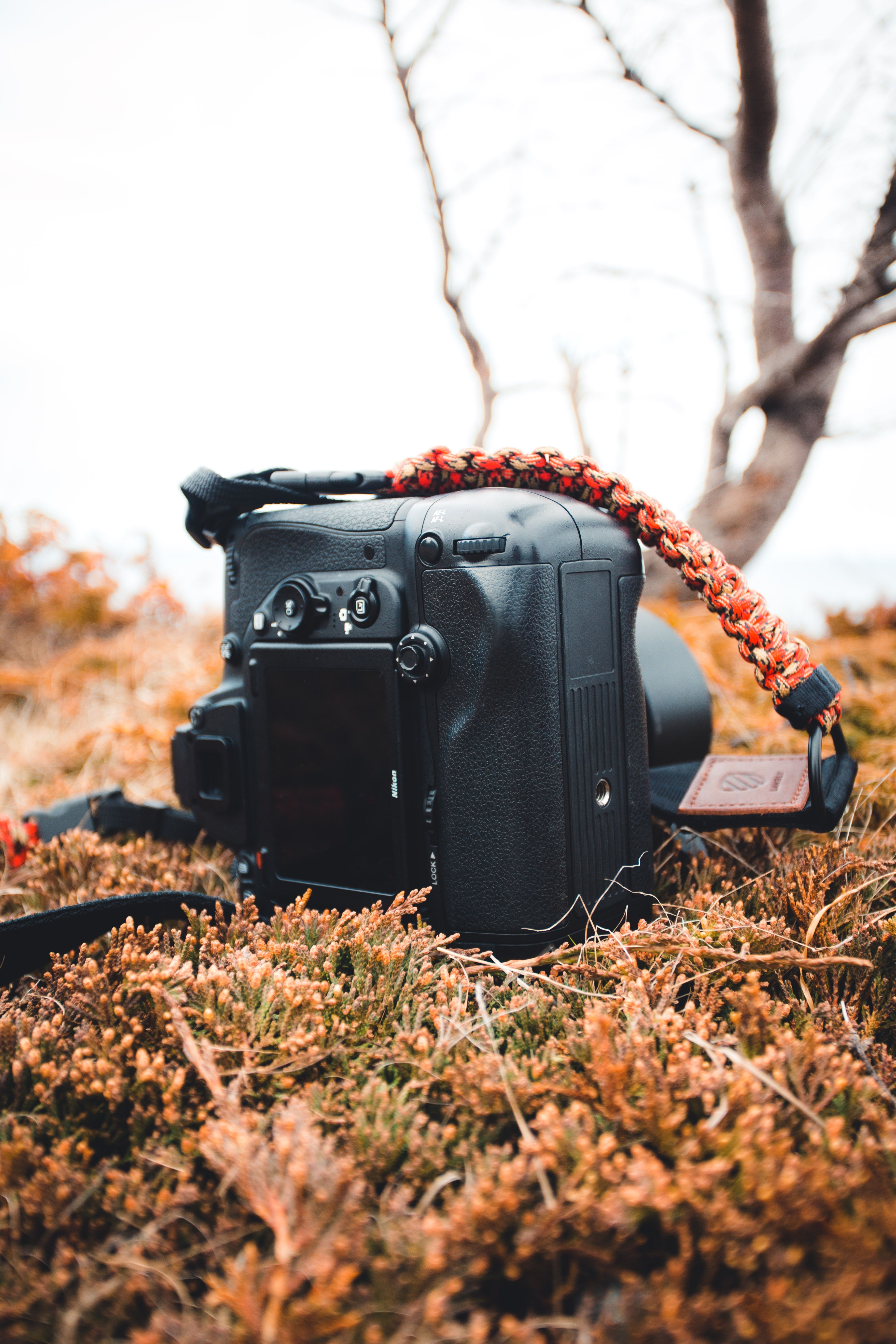 A DSLR camera resting on dried grass, emphasizing outdoor photography equipment.