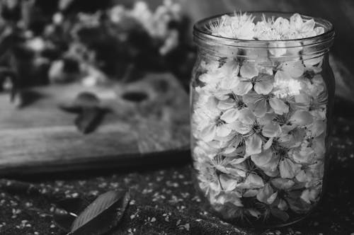 Free Black and White Photo of Flowers in the Jar Stock Photo