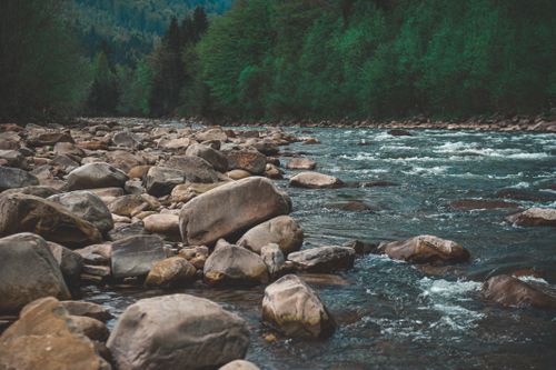 Free A tranquil river flowing through a forested landscape with rocks scattered along its banks. Stock Photo