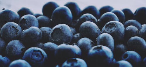 免費 黑莓的淺焦點照片 圖庫相片