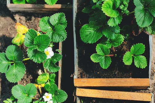 Image by Tamara Elnova