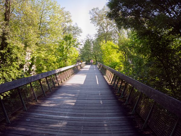 Pont vers la nature