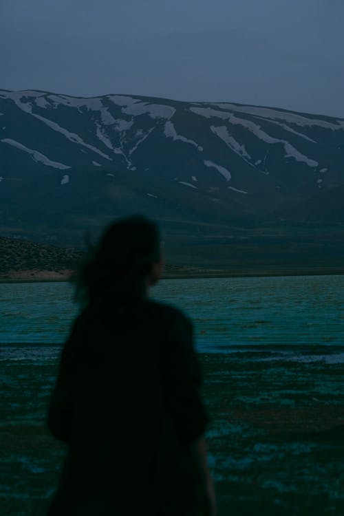 Silhouette of Woman Standing on Seashore