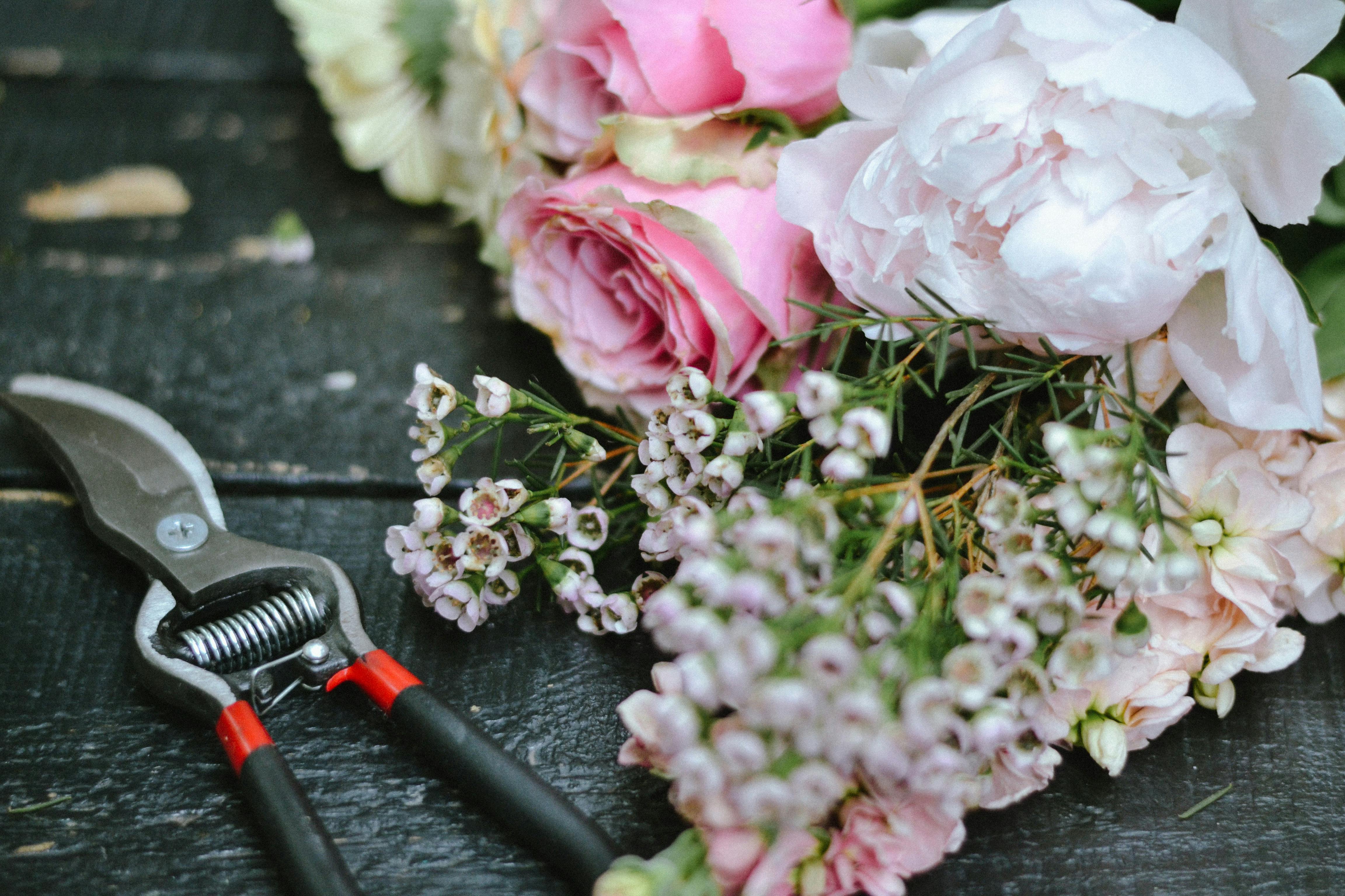 gardening tools — Photo by Anastasia Koren on Pexels
