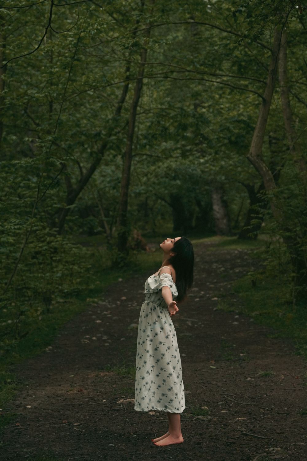 Woman in White Dress Standing on Forest · Free Stock Photo