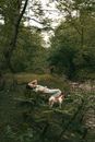 Man in Black T-shirt Lying on Ground Beside White and Brown Dog