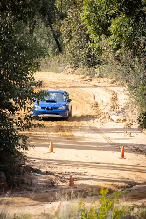 Gratis lagerfoto af rally, subaru