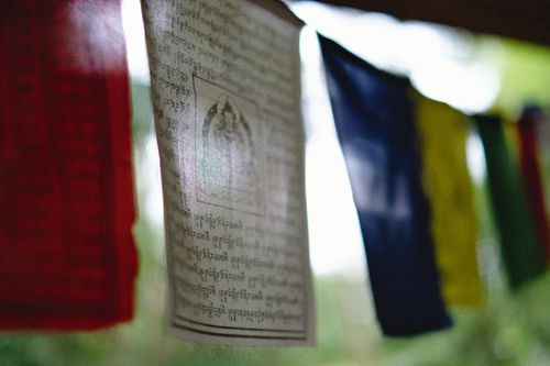 Free Vibrant Tibetan prayer flags with sacred texts hanging outdoors, evoking spirituality. Stock Photo