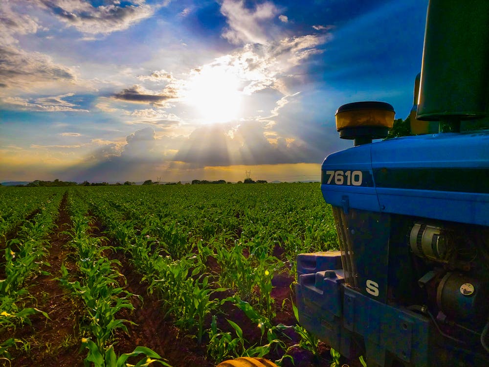 Fotos de stock gratuitas de agricultura, atardecer, naturaleza