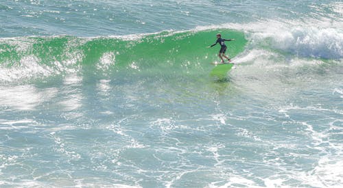 Free Surfing Green Wave Stock Photo