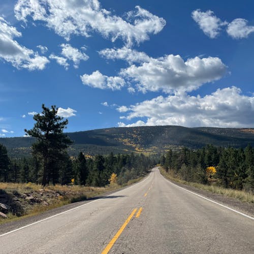 Foto profissional grátis de árvores, céu azul, estrada de concreto