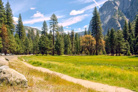 Beautiful meadow in Yosemite with mountains and pine trees under a clear blue sky.