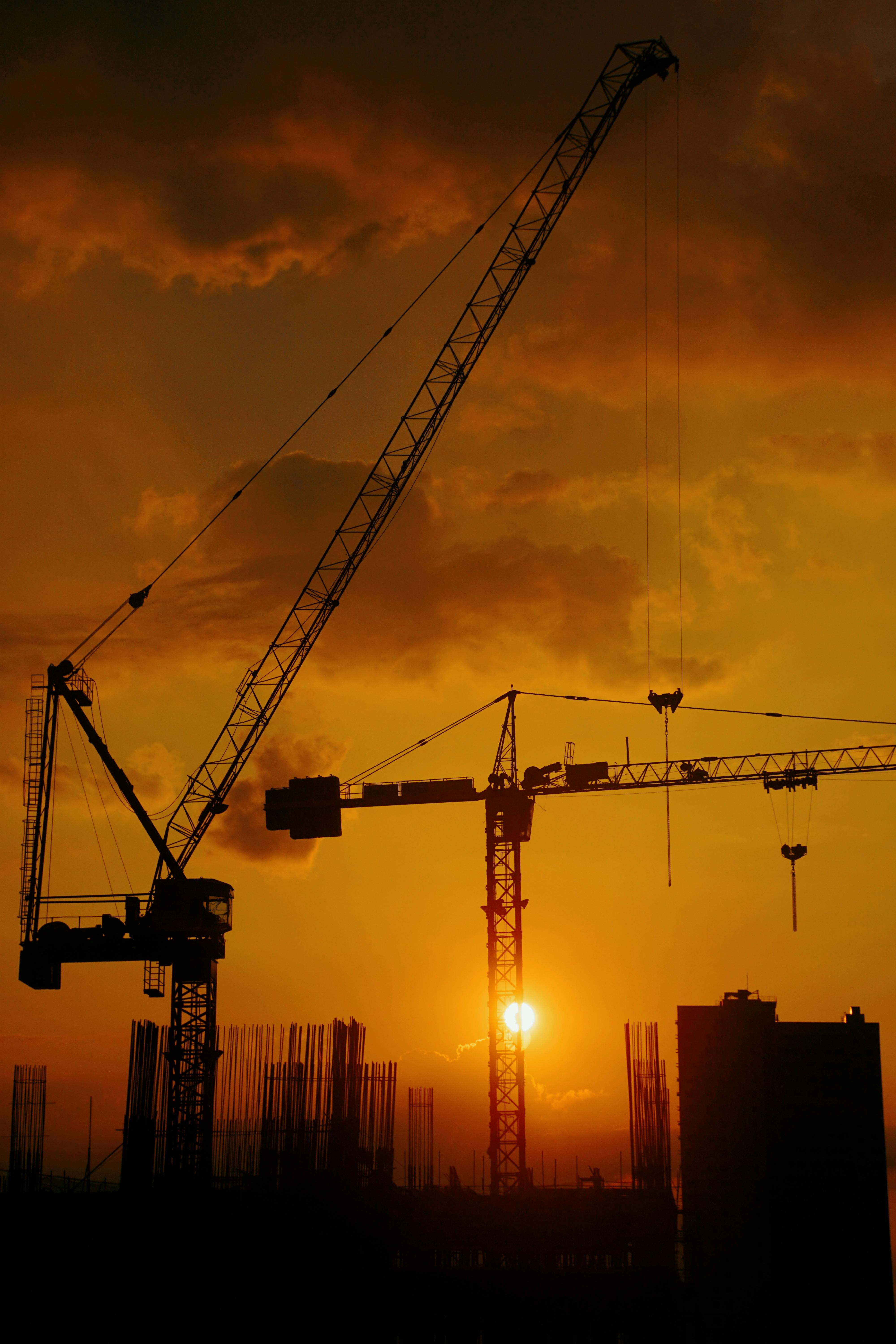 Silhouette Of Cranes During Sunset · Free Stock Photo