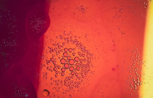 Water Droplets on Red Surface