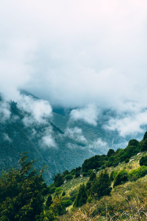 Free A breathtaking view of a foggy mountain valley with lush green trees and white clouds. Stock Photo