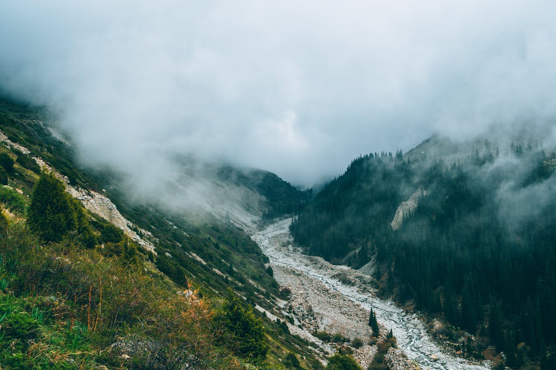 Kostnadsfri bild av äventyr, bergen, dimma