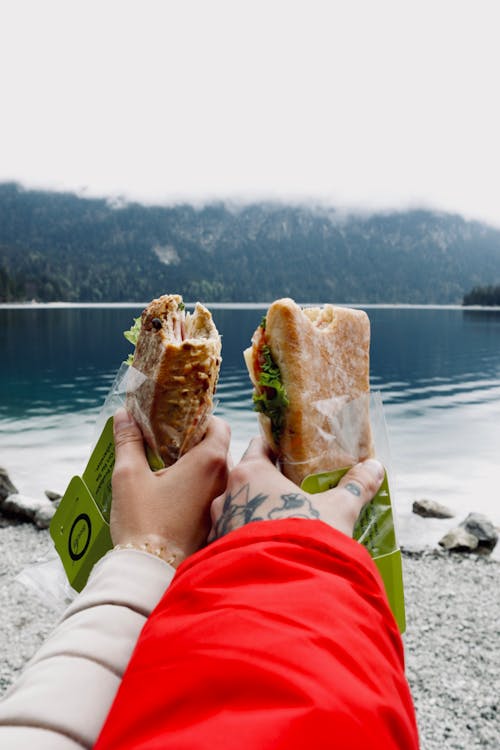 Kostenloses Stock Foto zu amerikanisches essen, aussichtsberg, belegtes brot