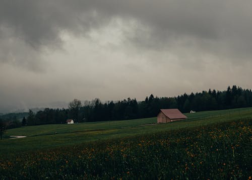 Kostnadsfri bild av äng, avskilt hus, enskilt hus