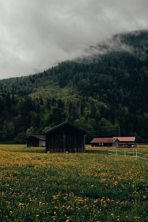 Základová fotografie zdarma na téma budovy, cestování, farma