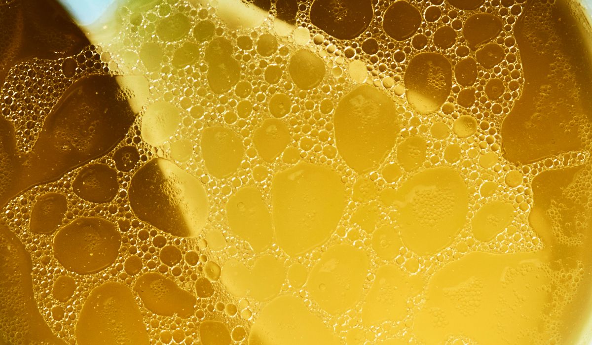 sources naturelles de collagene image 2