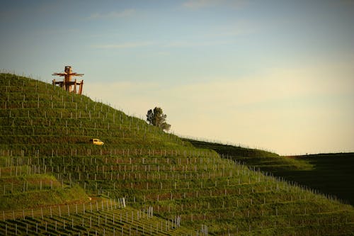 Foto d'estoc gratuïta de agricultura, cel, granja