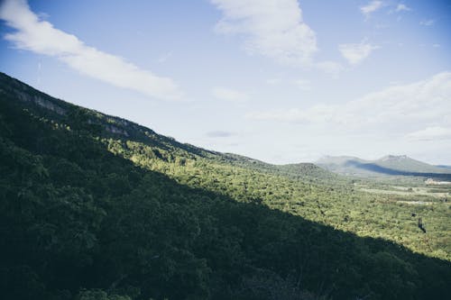 Immagine gratuita di ambiente, carolina del nord, montagna