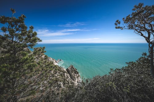 Fotos de stock gratuitas de arboles, cielo limpio, costa