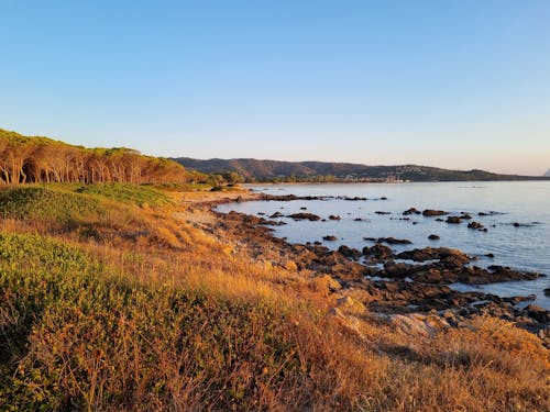 Rocky Shore of a Lake