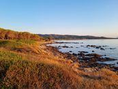 Rocky Shore of a Lake