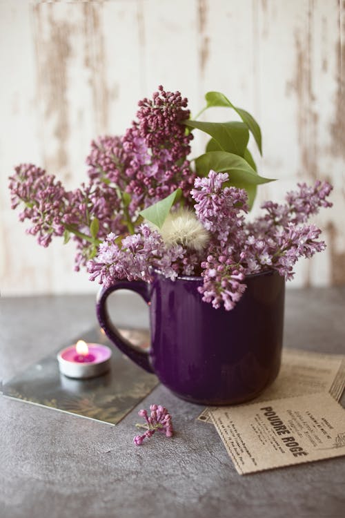 Lilac Flowers in a Mug 