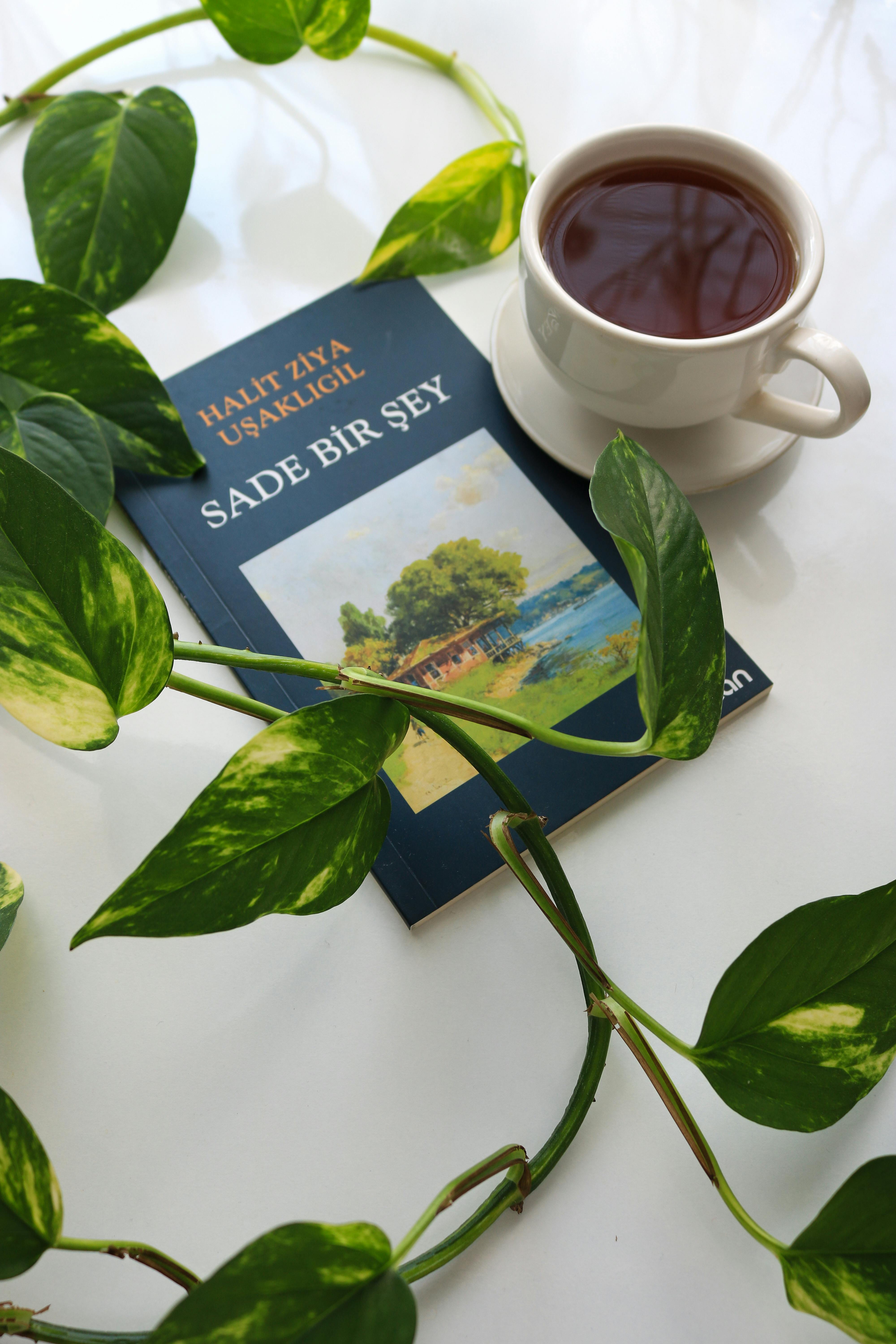 A serene still life of a book, a cup of tea, and fresh green leaves on a white background.