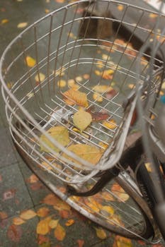 Close-up of a bicycle basket filled with colorful autumn leaves on a city street.