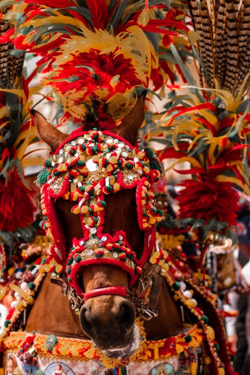 Free Decorated horse with vibrant ornaments in a traditional Sicilian festival setting. Stock Photo