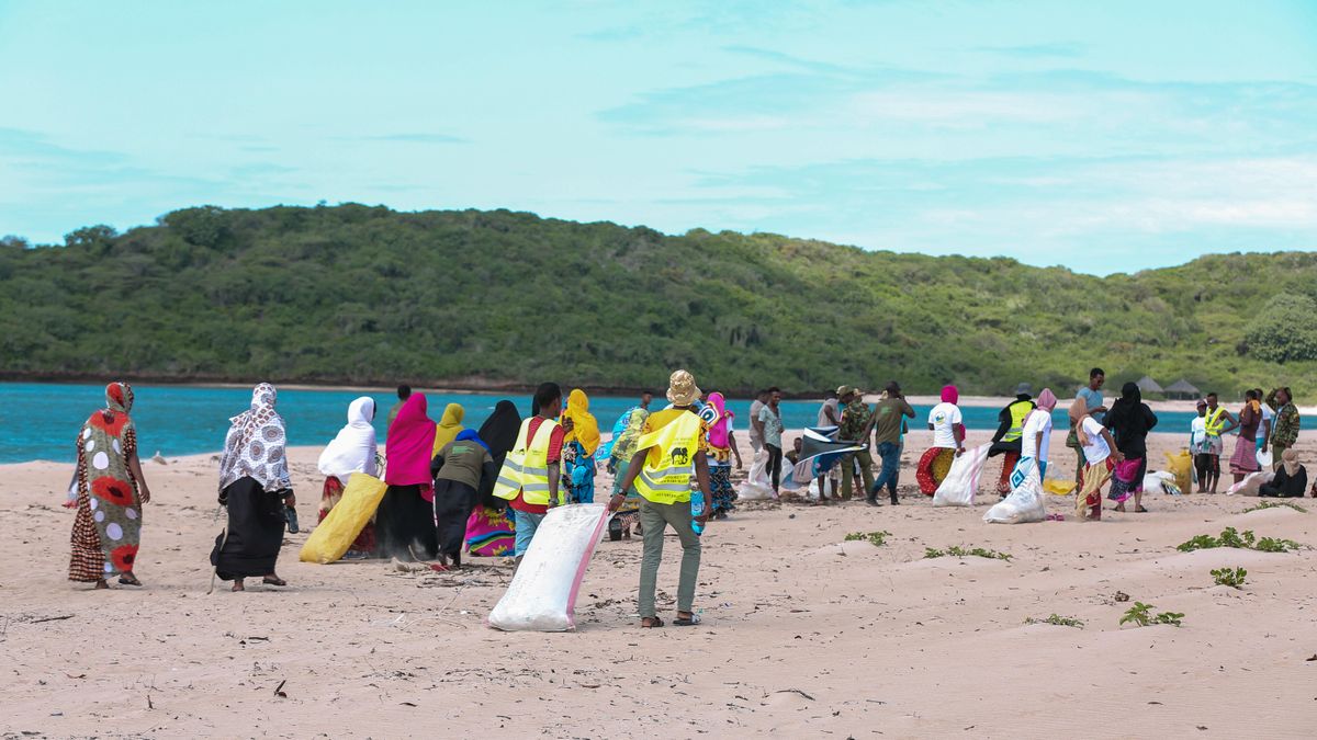 Surf et engagement écologique