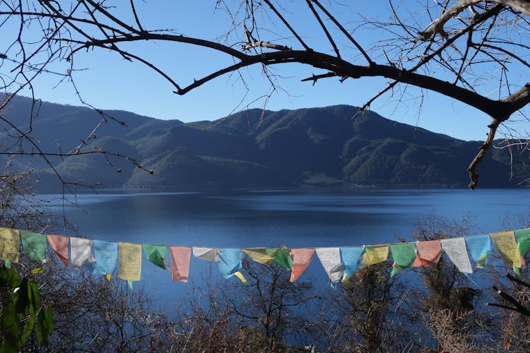 Colored Banners Hanging Under A Leafless Tree Near Lake 