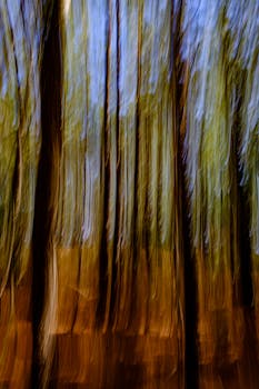 Creative motion blur effect of trees in a Virginia forest captures a surreal outdoor scene.