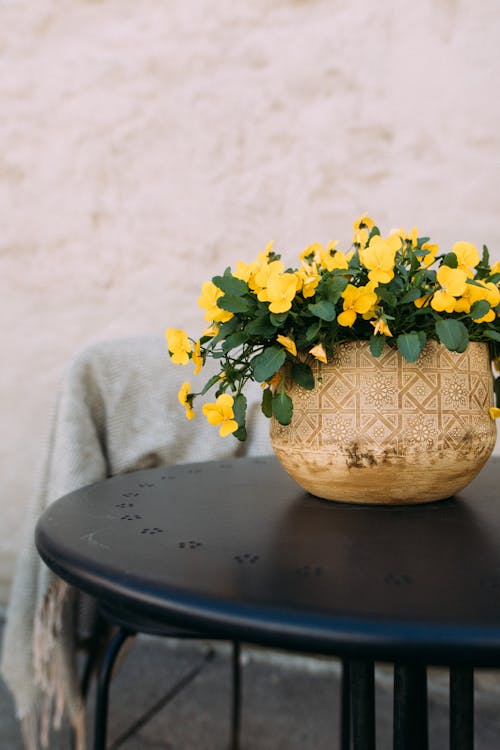 Free Yellow Flowers in Brown Ceramic Vase on Gray Round Table Stock Photo