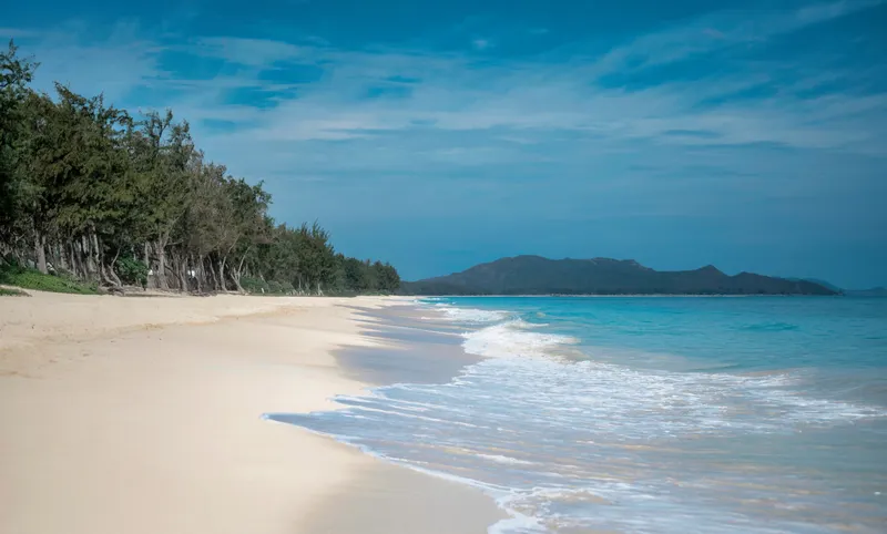 Powder-sand windward Oahu beach backed by ironwood trees and clear blue ocean near Bellows