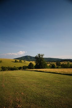 晴朗的天空下，宁静的乡村景象映入眼帘：绿色的田野、树木和远处的山丘