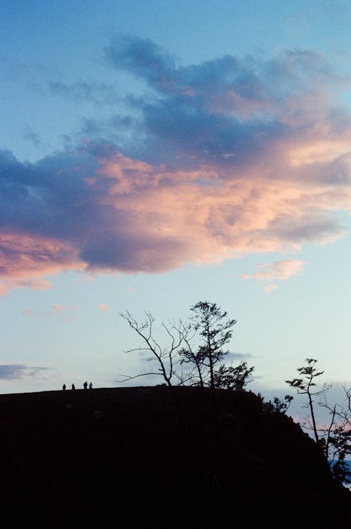 Immagine gratuita di alberi, collina, crepuscolo