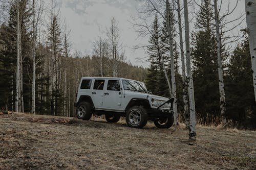 White 4x4 Car in Forest