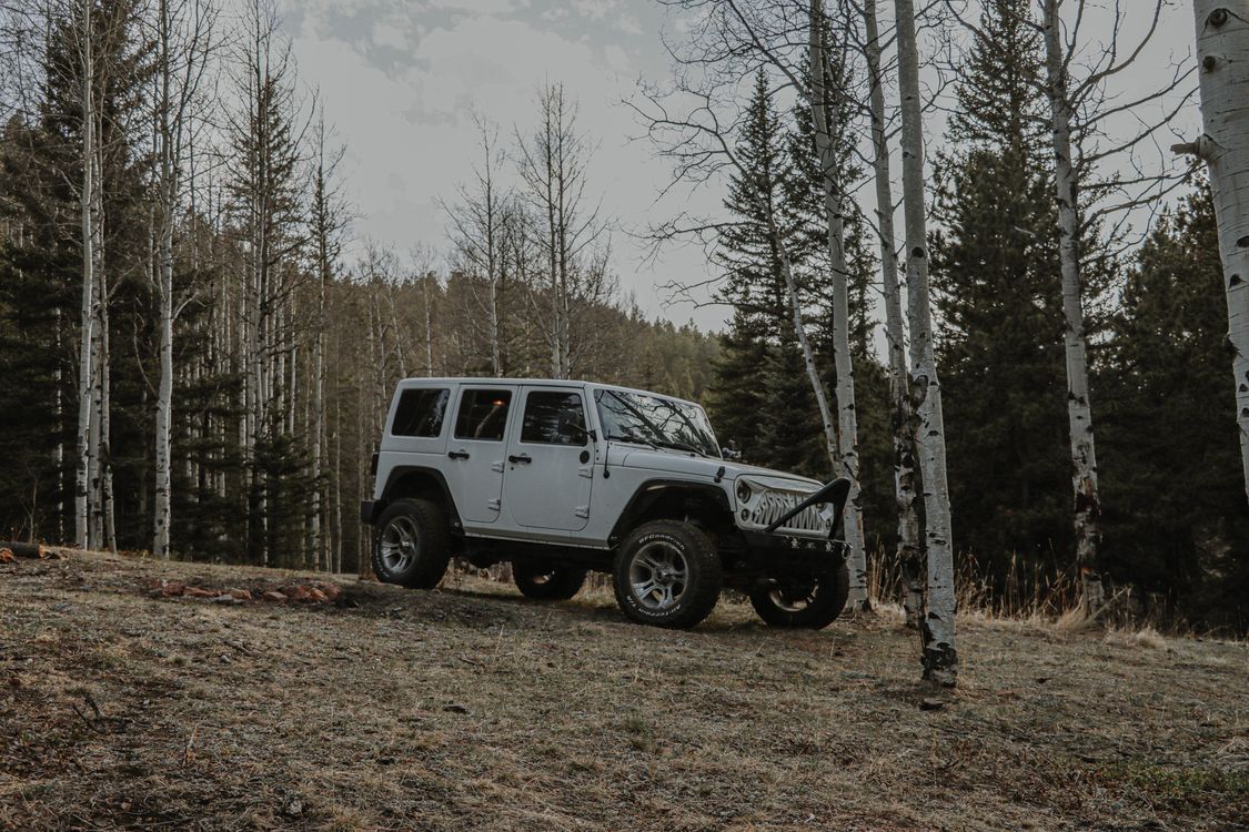 Rustic 4wd White 4x4 Car in Forest · Free Stock Photo