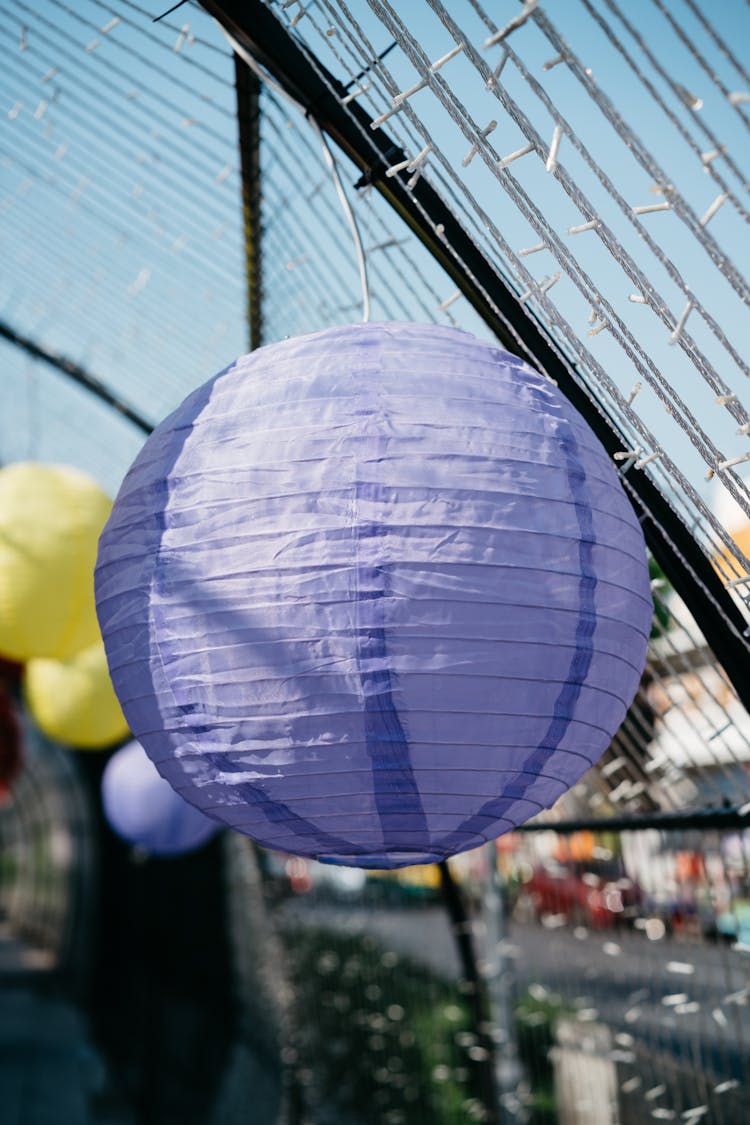 A Hanging Round Purple Lantern 