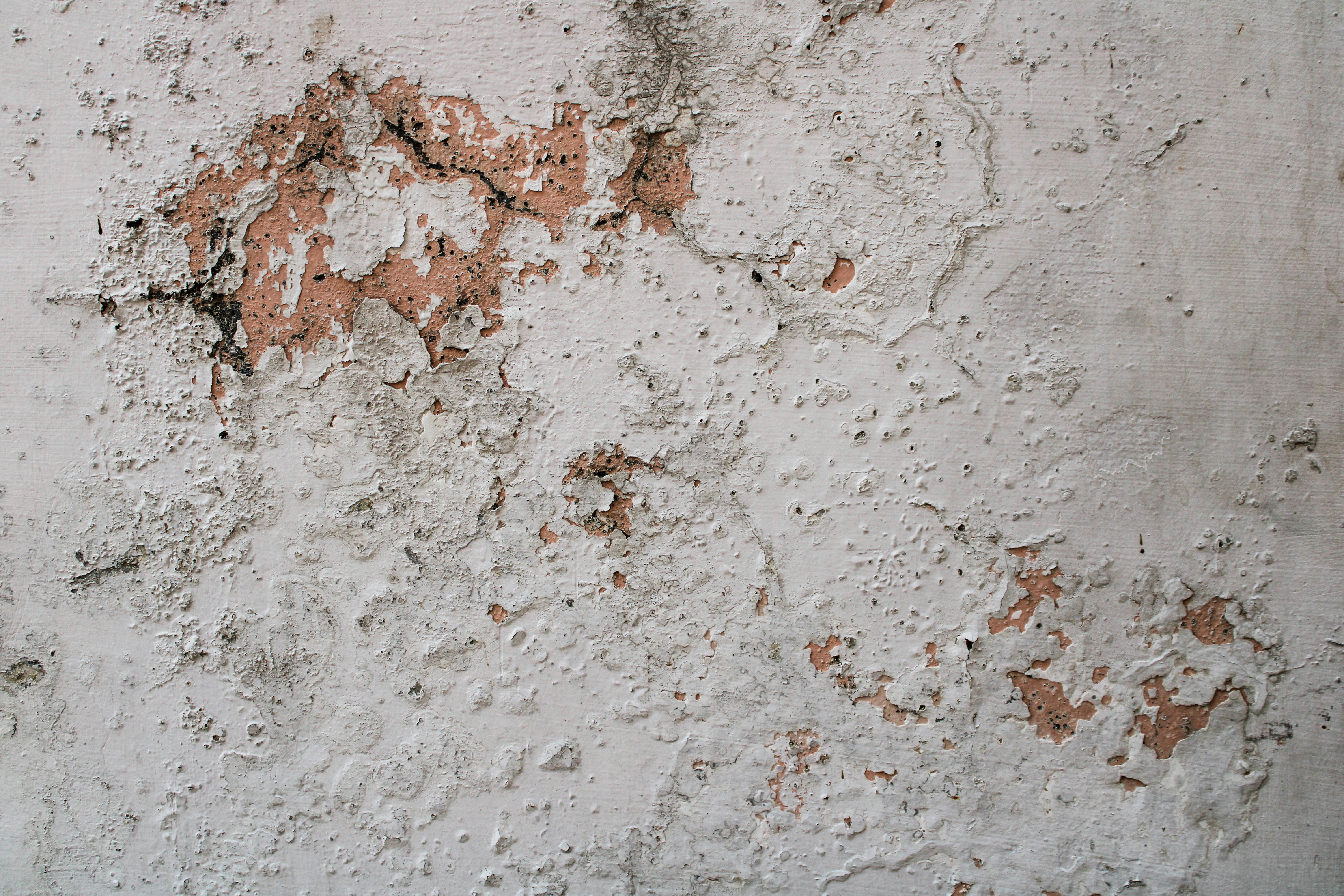 Mold Inspection & Testing service in Los Angeles, California — technician inspecting wall for mold growth