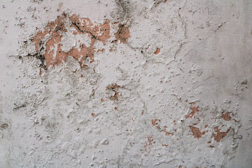 Close-Up Shot of a Concrete Wall
