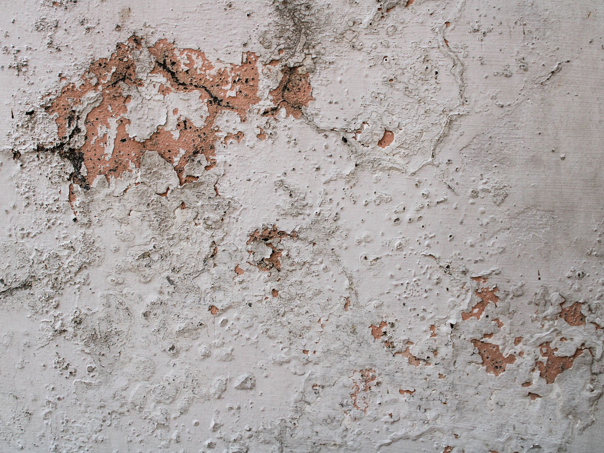 Wallpapering in Morden, Merton — decorator hanging pattern-matched wallpaper