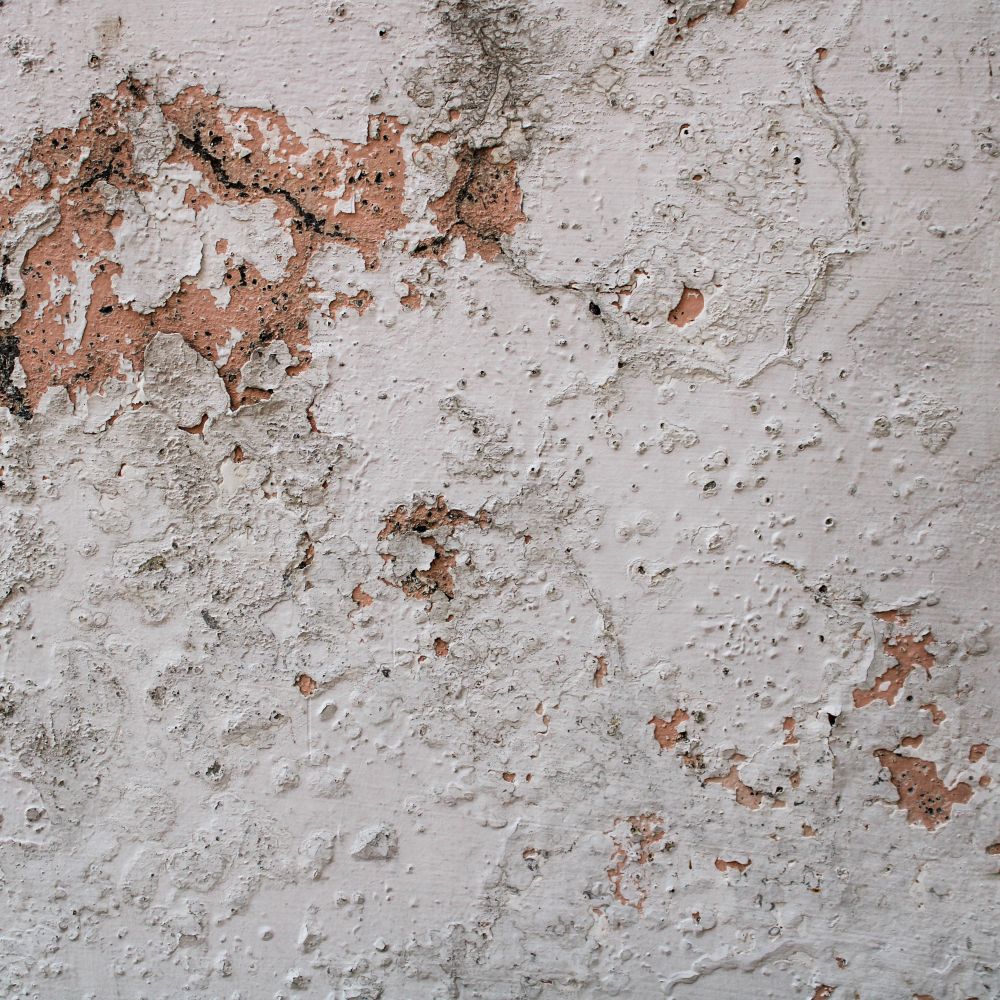Wallpapering in Hayes — careful masking before painting begins
