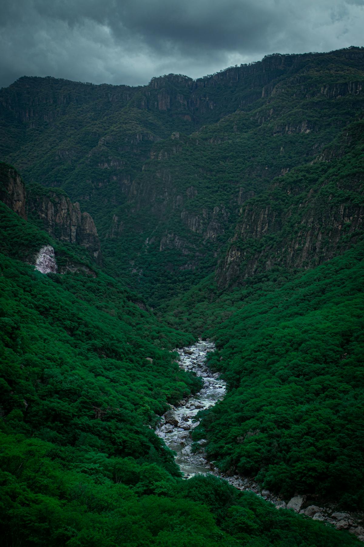Jar of green sea moss gel and spoon on a table