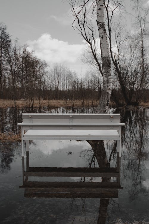 White Wooden Bench in Water